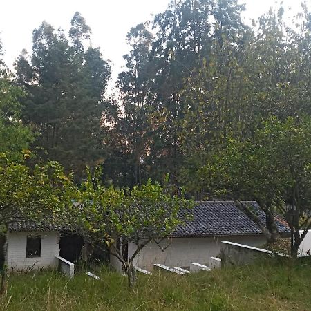 Quinta Los Eucaliptos Villa Quito Dış mekan fotoğraf